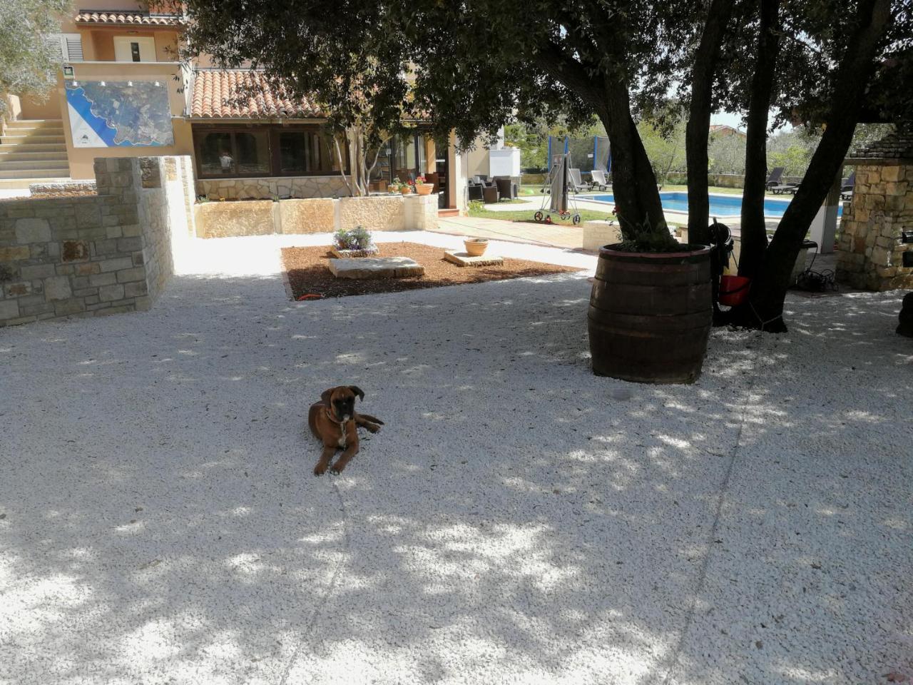 Guesthouse "Barboska" - Big Outdoor Swimming Pool & Private Tennis Court Vodnjan Dış mekan fotoğraf